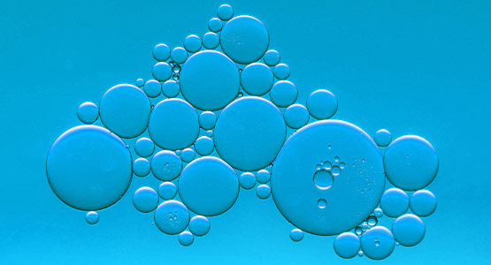 org.hippoecm.hst.content.beans.standard.HippoGalleryImageSet@feb44a29