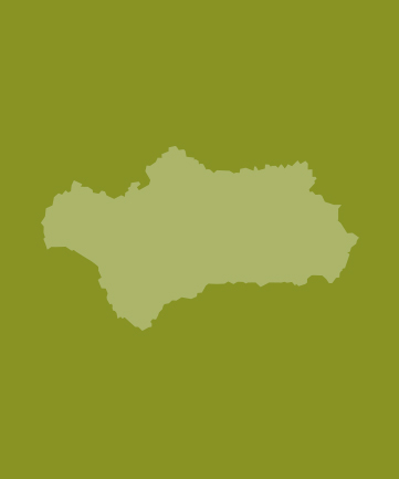 org.hippoecm.hst.content.beans.standard.HippoGalleryImageSet@7cdb9d70