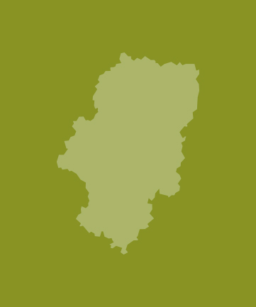 org.hippoecm.hst.content.beans.standard.HippoGalleryImageSet@5f74b458