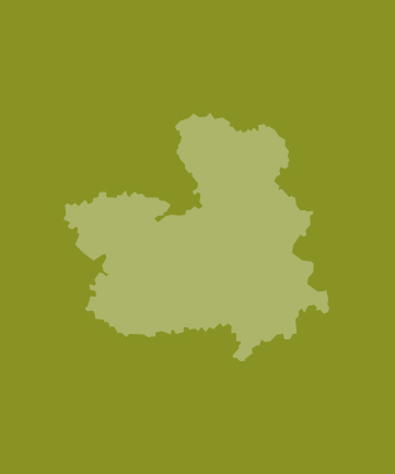 org.hippoecm.hst.content.beans.standard.HippoGalleryImageSet@11936c98