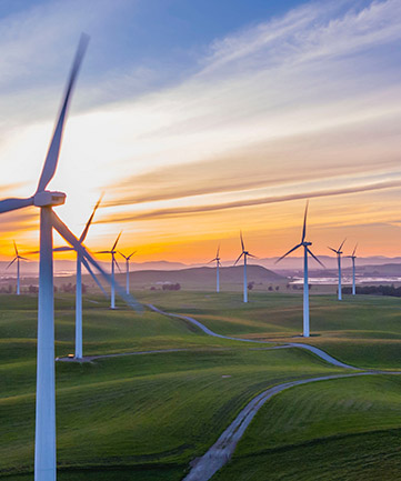 org.hippoecm.hst.content.beans.standard.HippoGalleryImageSet@724097ea