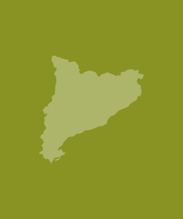 org.hippoecm.hst.content.beans.standard.HippoGalleryImageSet@47a731e4