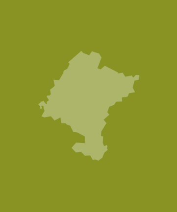 org.hippoecm.hst.content.beans.standard.HippoGalleryImageSet@eb2f1e26